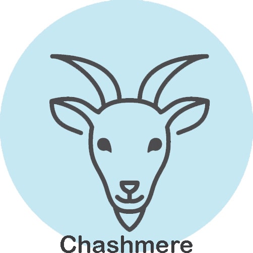 chashmere